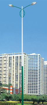 Solar Street Lamp （2）