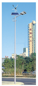 Solar Street Lamp （2）