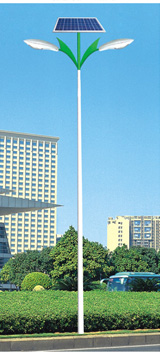 Solar Street Lamp