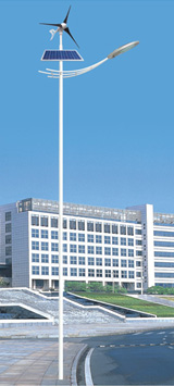 Solar Street Lamp （3）