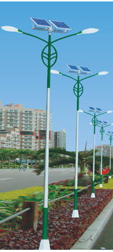 Solar Street Lamp （8）